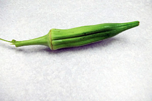 growing-okra